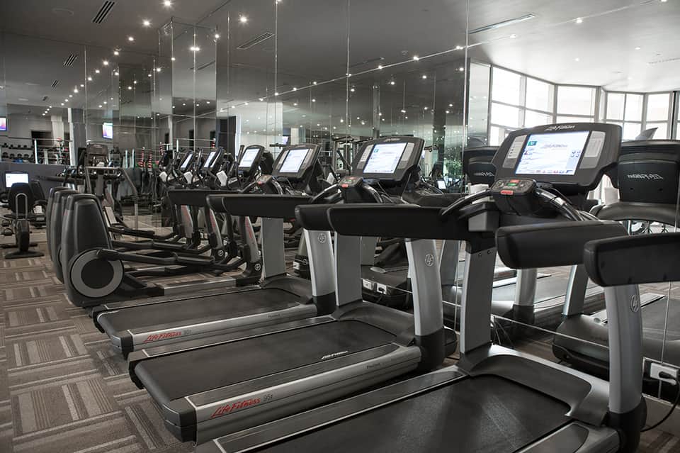 Modern gym with rows of cardio equipment, treadmills, and floor-to-ceiling windows