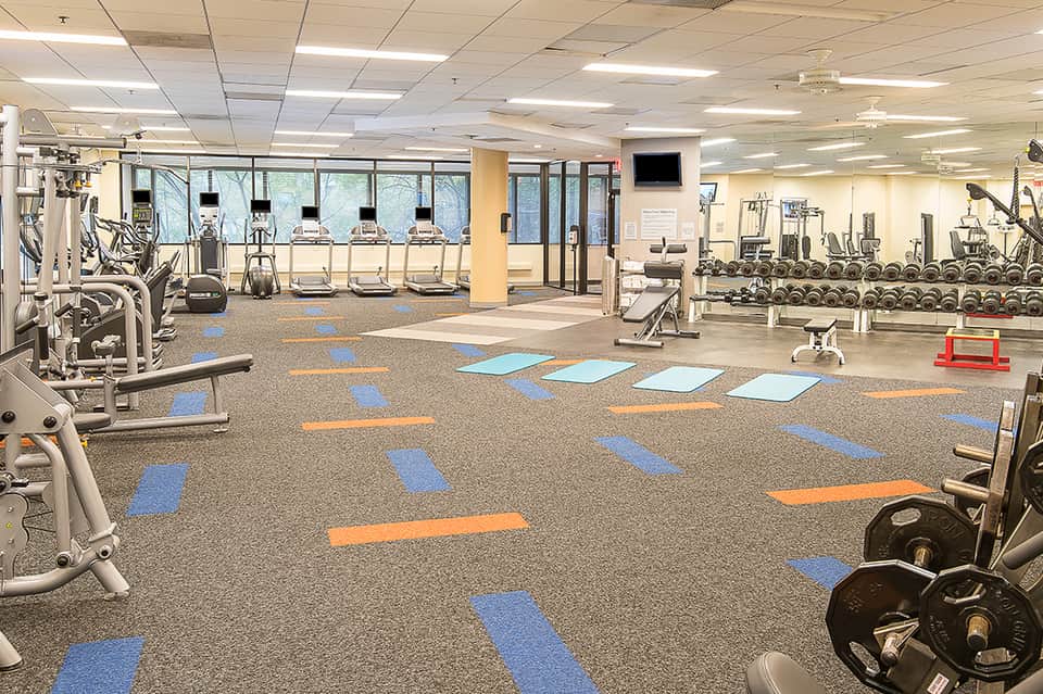 Modern fitness center with cardio equipment, weight stations, mirrors, and blue-orange floor design