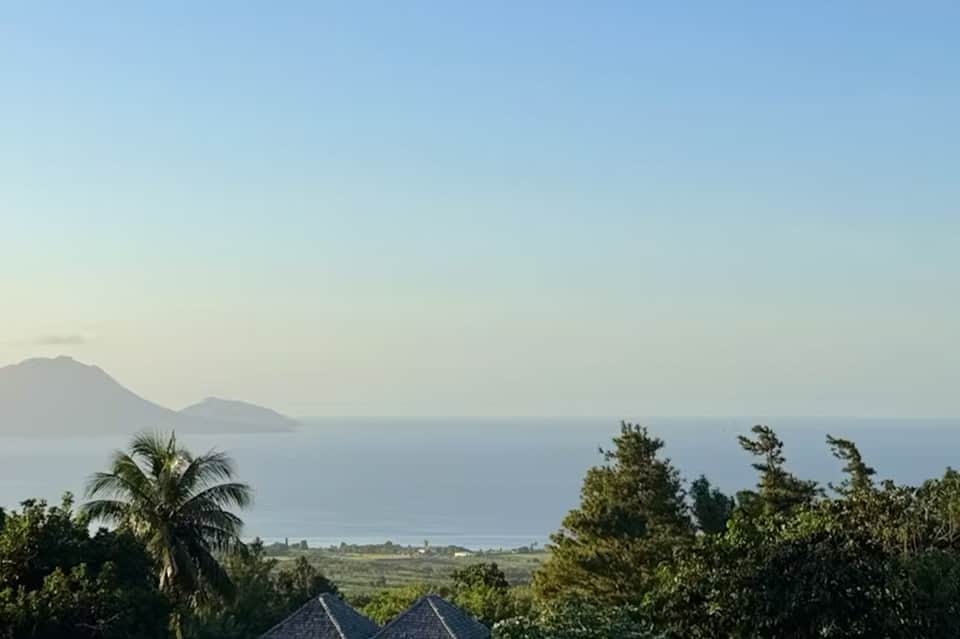 Scenic coastal vista with mountains across the sea, palm trees, and clear blue sky