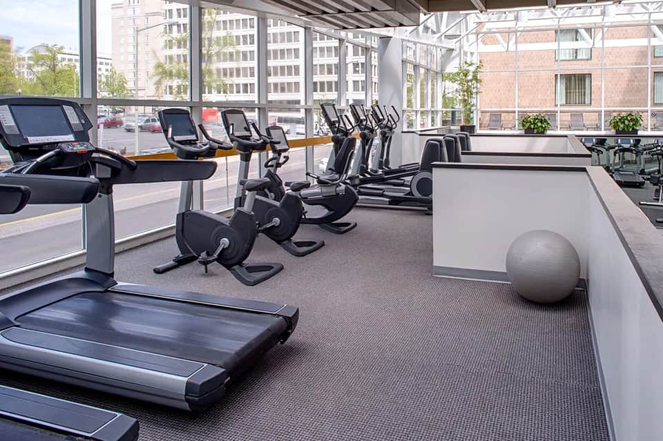 Modern gym with elliptical machines, stationary bikes, treadmills, and urban cityscape views through windows