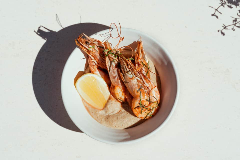 Grilled shrimp with lemon on white plate with sauce and fresh herbs