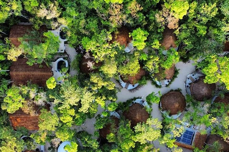 Aerial view of forest resort with winding pathways, circular buildings, and solar panels among dense green trees