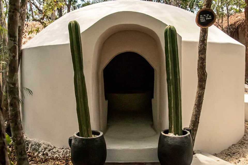 White dome-shaped structure with arched entrance flanked by tall green cacti in pots