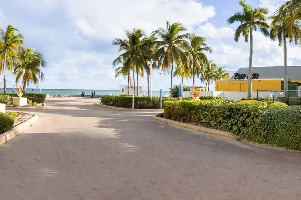 Palm-lined coastal promenade with ocean view and modern buildings with yellow awnings