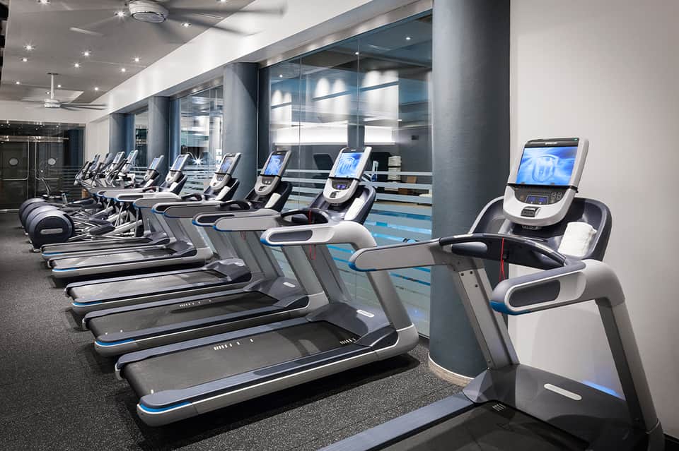 Modern fitness center with rows of treadmills and exercise equipment with blue accents and large windows