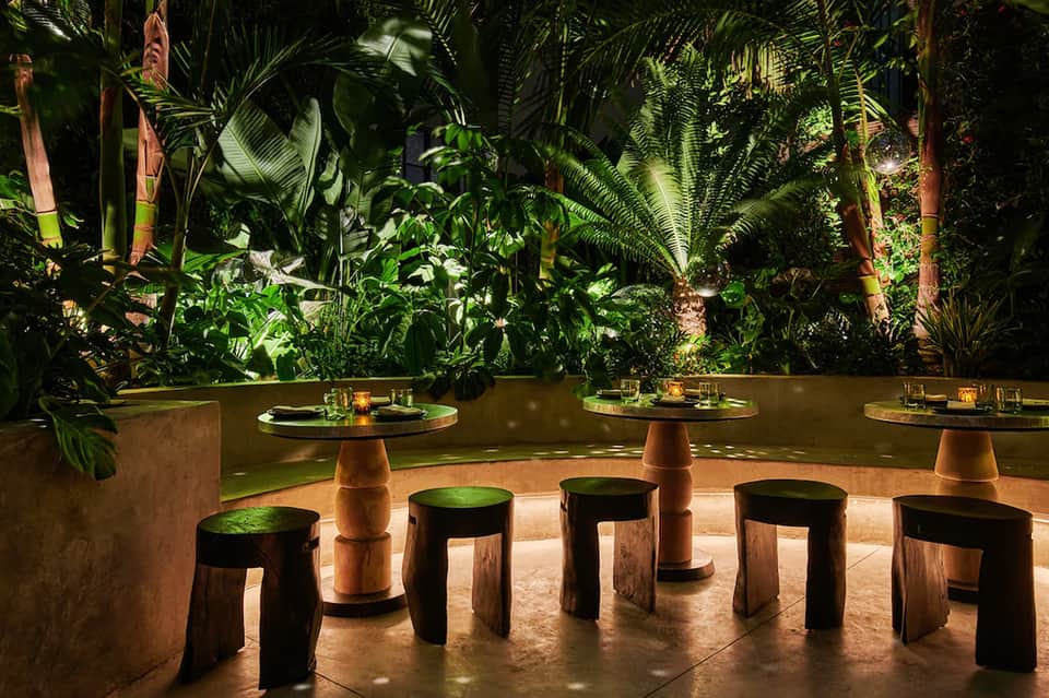 Lush tropical indoor dining area with illuminated plants, wooden stools, and round tables at night