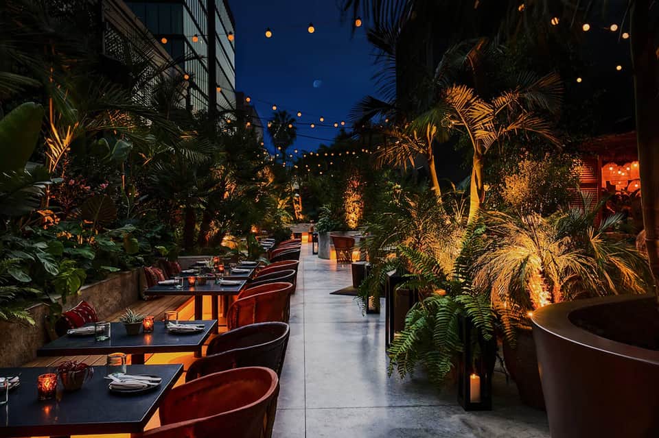 Elegant outdoor courtyard dining area at night with palm trees, ambient lighting, and burgundy chairs along dark tables