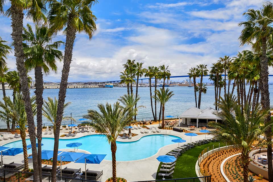 Beachfront resort with curved blue swimming pool, palm trees, and ocean view with ships in harbor