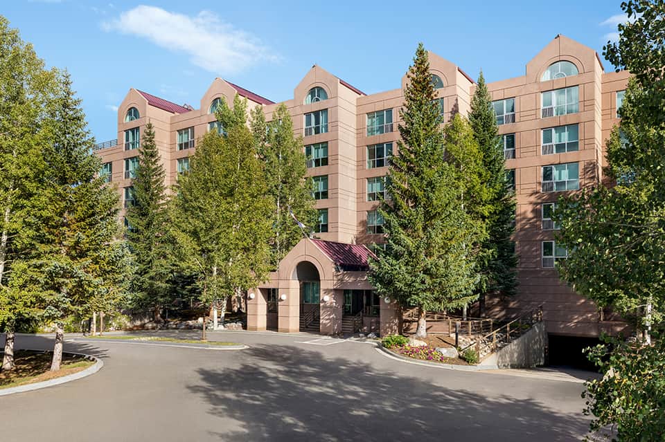 Modern multi-story hotel building with terracotta brick facade and manicured evergreen trees lining the entrance
