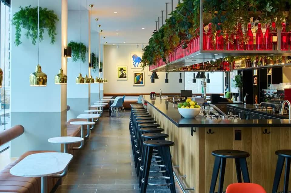 Modern restaurant bar with gold pendant lights, green hanging plants, black bar stools, and contemporary seating area