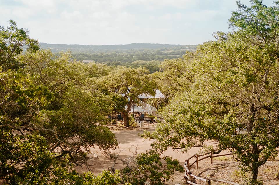 Oak tree-lined vineyard with distant rolling hills and a rustic building with metal roof