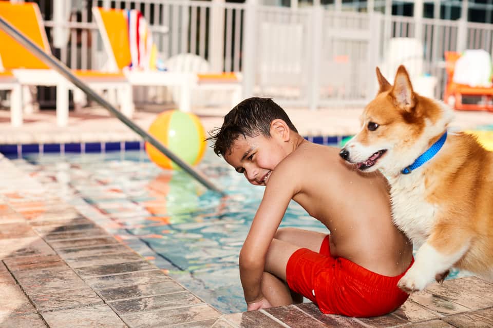Young boy in red swim trunks sitting by pool edge with corgi dog wearing blue collar