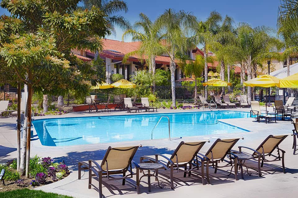 Resort pool area with loungers, yellow umbrellas, tropical palms, and white Spanish-style buildings