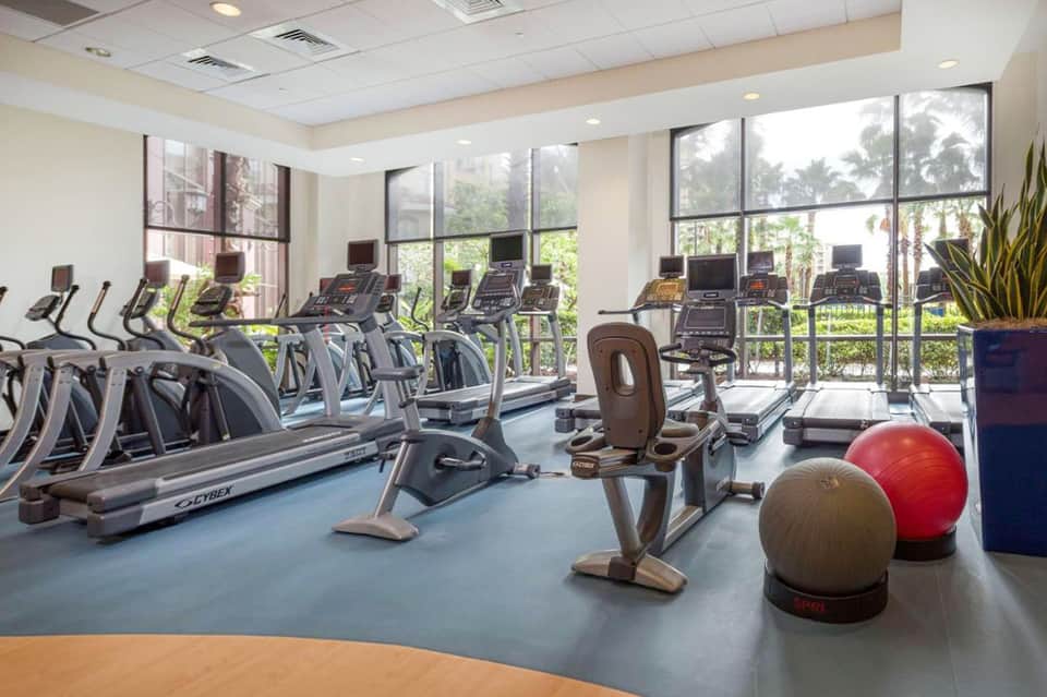 Modern fitness center with cardio equipment, exercise bikes, and stability balls with large windows overlooking palm trees
