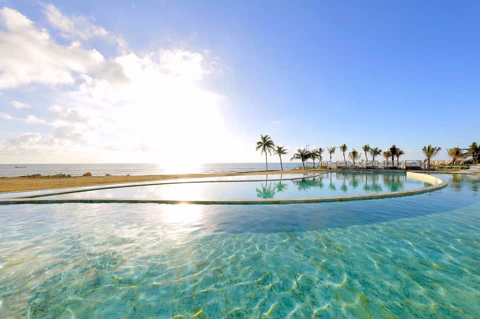 Curved infinity pool with palm trees overlooking crystal clear turquoise ocean water