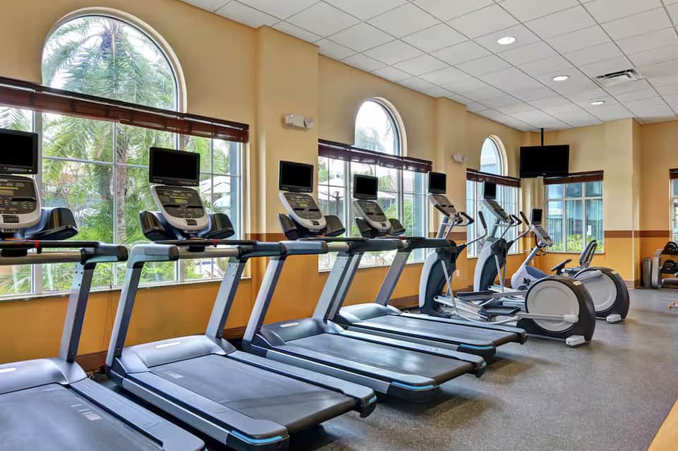 Fitness center with rows of treadmills and exercise equipment facing large windows with palm tree views