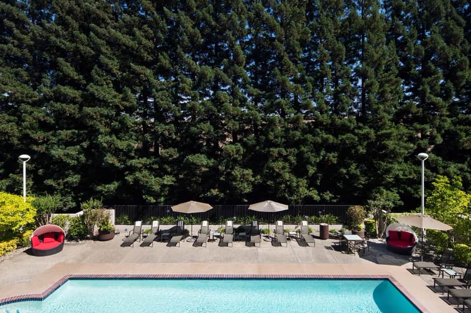 Resort pool with lounge chairs, umbrellas, and red pod seating surrounded by tall evergreen trees