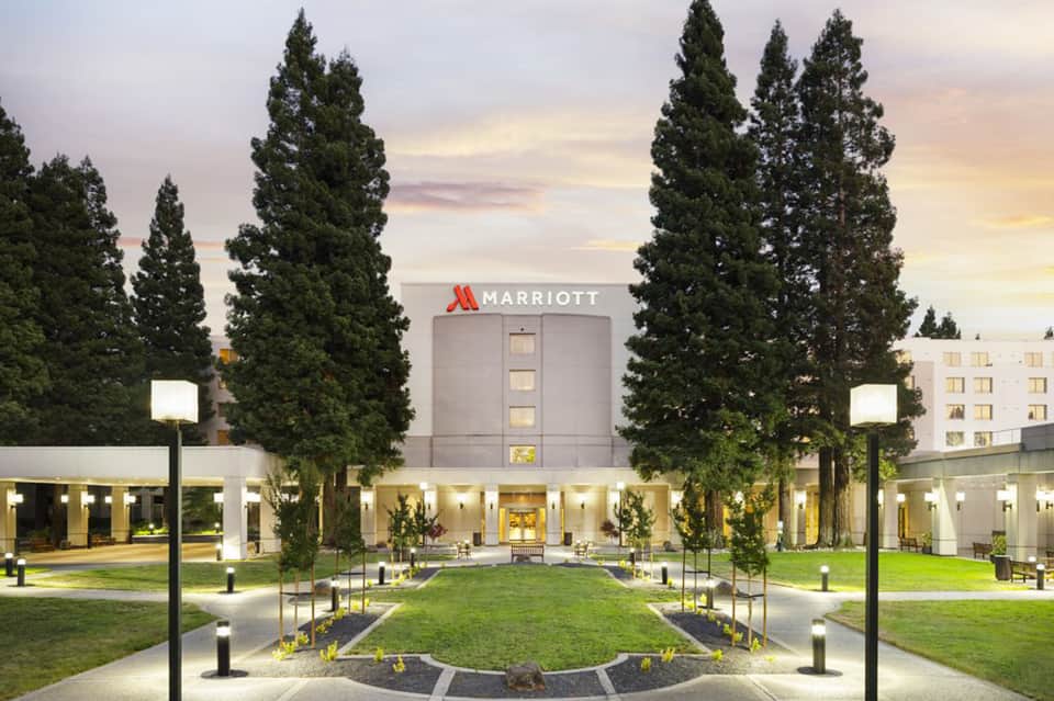 Marriott hotel entrance at dusk with tall cypress trees and manicured lawn