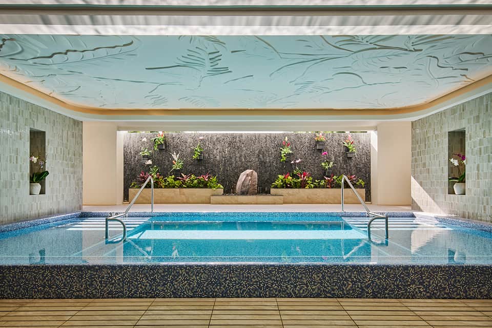 Indoor lap pool with turquoise water, decorative ceiling, and lush plant wall backdrop