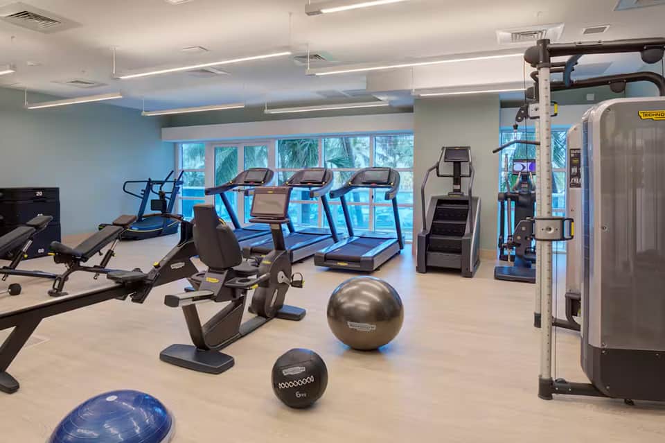 Modern fitness center with treadmills, exercise bikes, and gym equipment overlooking palm trees