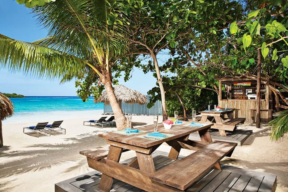 Beachfront resort with wooden picnic tables, palm trees, and turquoise ocean water under clear blue sky