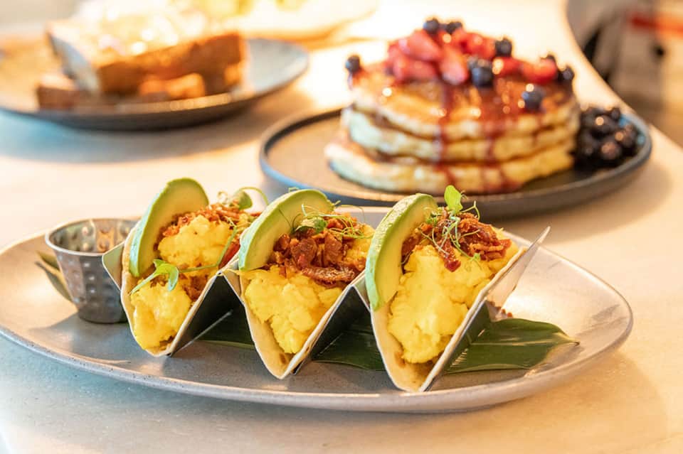 Three gourmet tacos with avocado and crispy toppings on a white plate with garnish