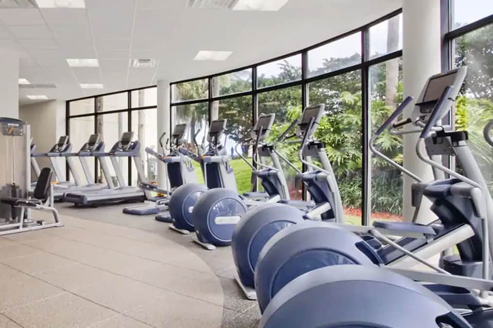 Modern gym with rows of elliptical machines and large windows overlooking green landscape