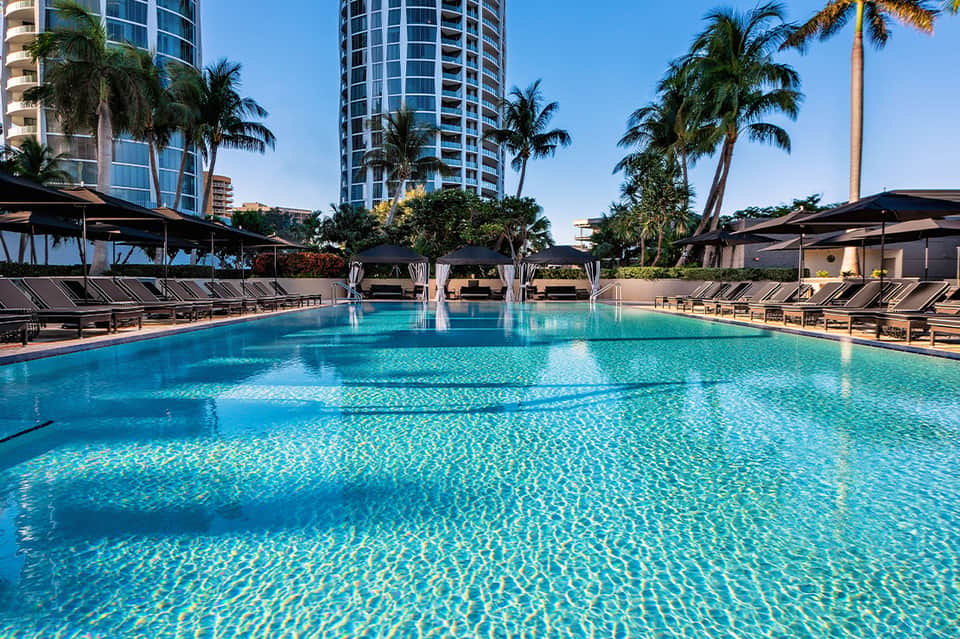 Large resort swimming pool with turquoise water, lounge chairs, and palm trees