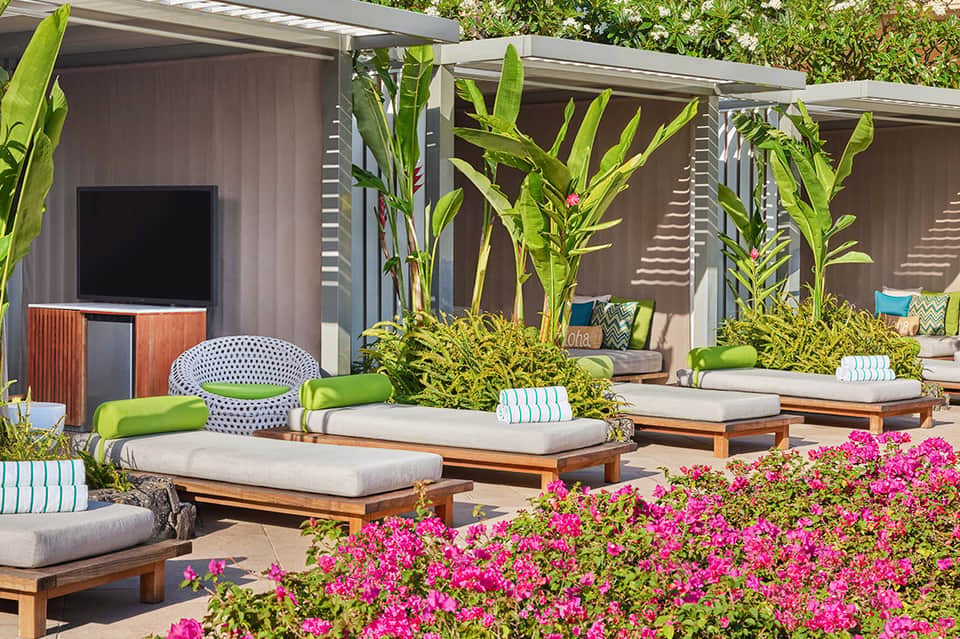 Luxury spa lounge with wooden daybeds, green plants, magenta flowers, pergola shade structures, and spa amenities