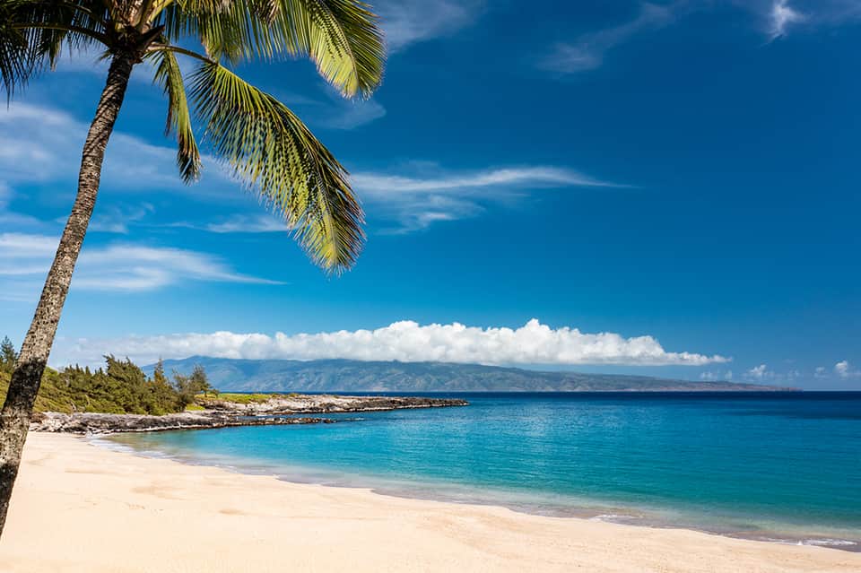 Tropical beach with palm tree, turquoise ocean, and distant mountains