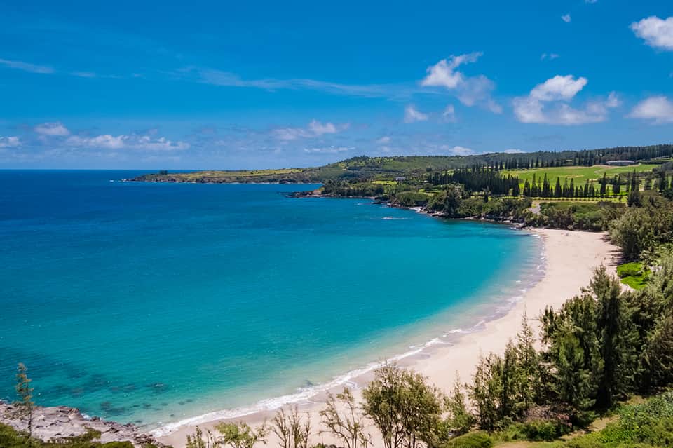 Turquoise bay with white sandy beach bordered by green hills and cypress trees
