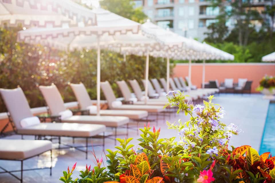 Sunny pool deck with white umbrellas, lounge chairs, and colorful tropical flowers in foreground