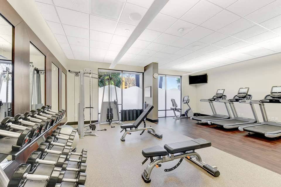 Modern fitness center with dumbbells, weight machines, and treadmills