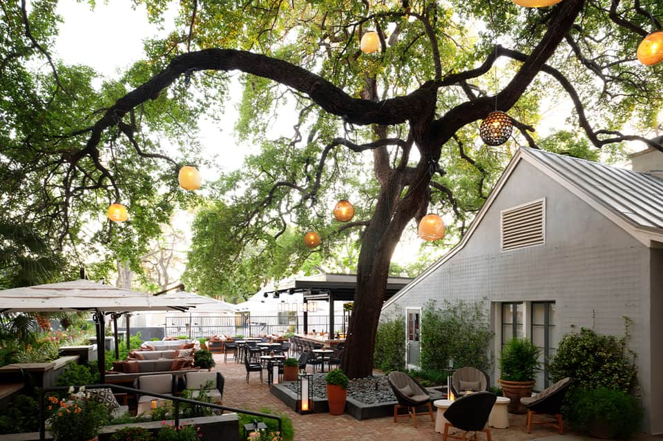 Elegant outdoor patio under sprawling oak tree with hanging golden orb lights and seating areas