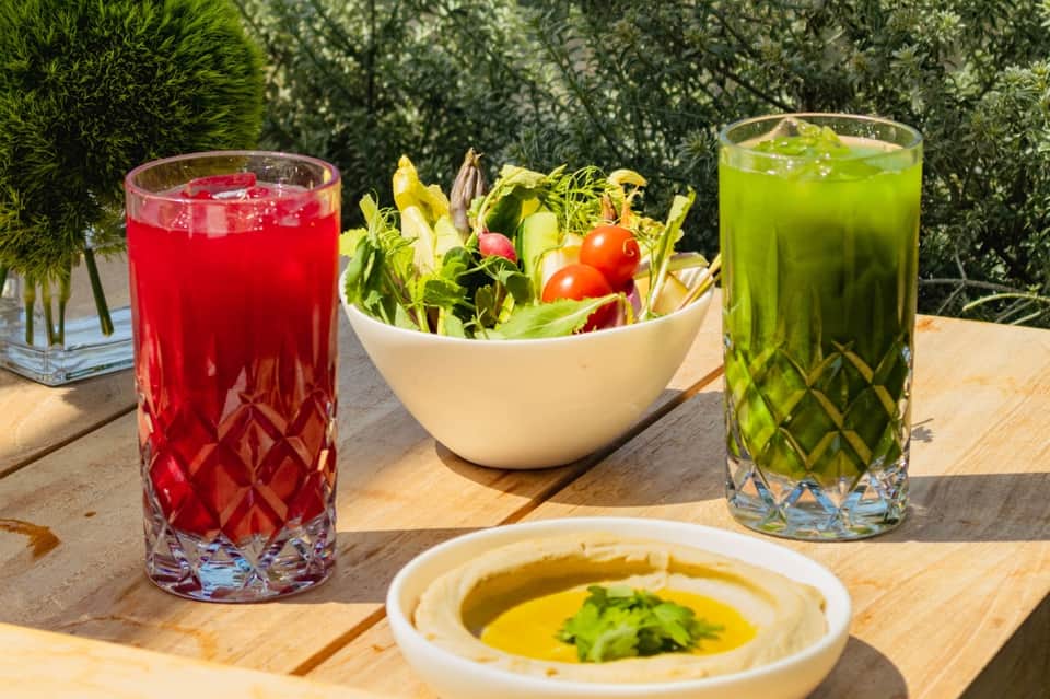 Outdoor dining setup with fresh salad, hummus, red and green beverages on wooden table with garden backdrop
