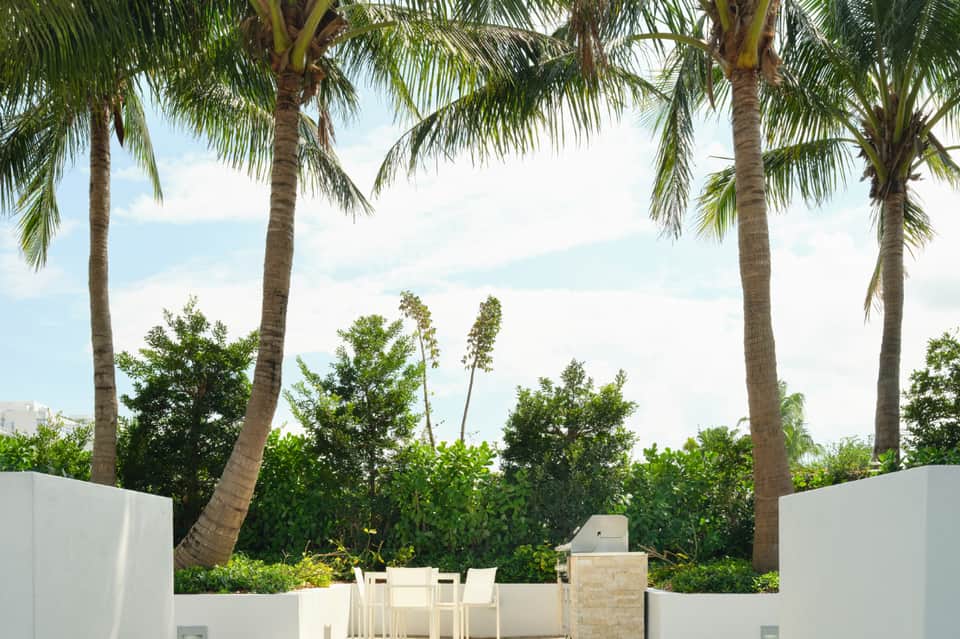 Tropical patio with palm trees, white walls, and lounge chairs overlooking greenery