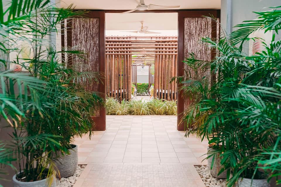 Wooden lattice doors opening into a lush courtyard with potted palm plants and stone pathways