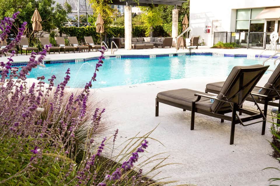 Outdoor resort pool with turquoise water, lounge chairs, purple flowers, umbrellas, and lush landscaping
