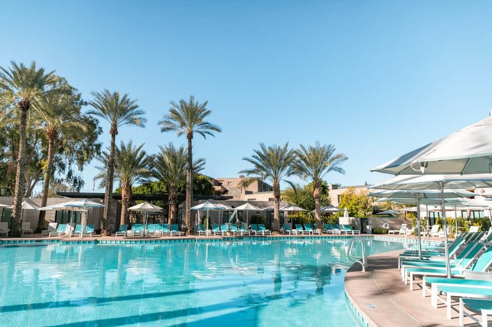 Resort swimming pool surrounded by palm trees, lounge chairs, and white umbrellas under clear blue sky