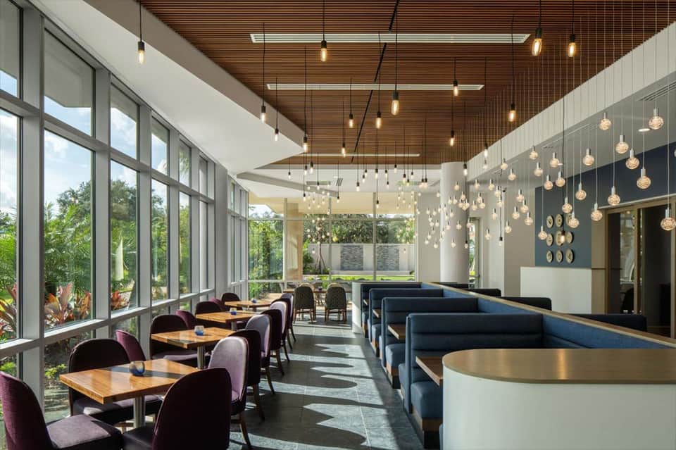 Modern café interior with wooden ceiling, pendant lights, large windows, dining tables with purple chairs, and contemporary design