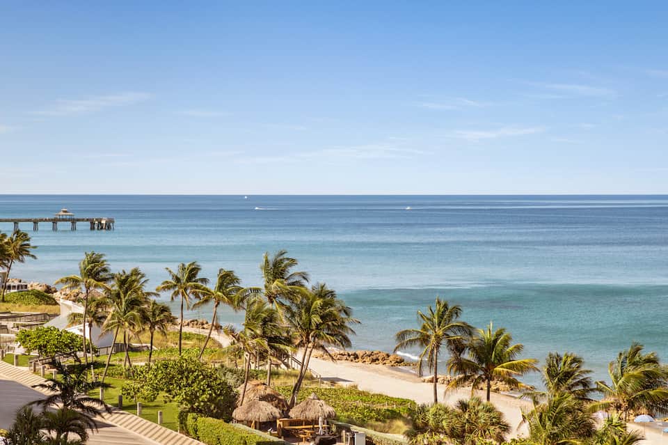 Tropical beachfront resort with palm trees, white sand beach, and ocean pier visible in the distance