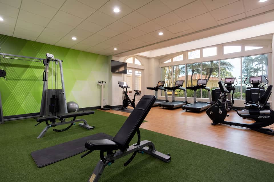 Modern fitness center with green accent wall, weight machines, stationary bikes, and large windows overlooking trees