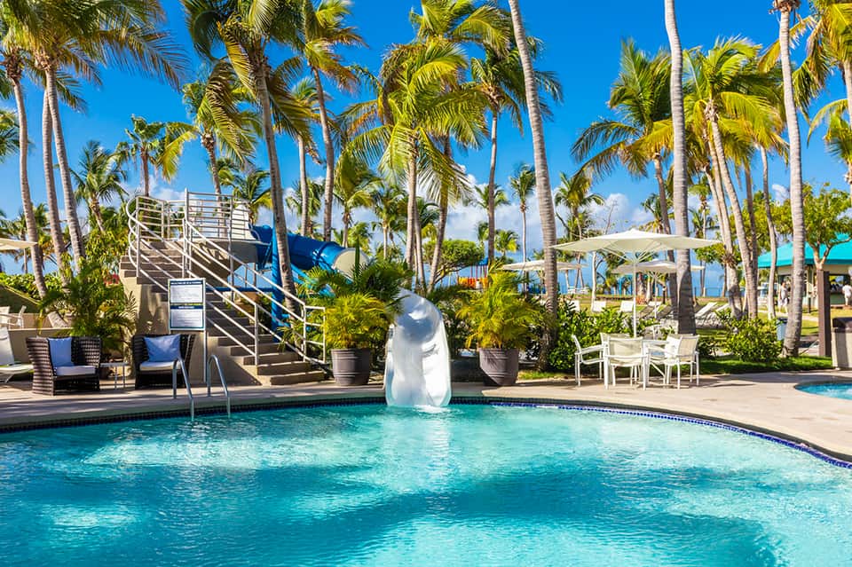 Resort pool with waterslide surrounded by palm trees and lounge chairs