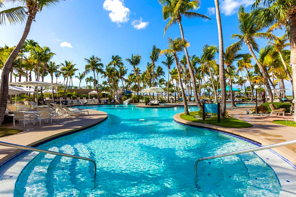 Tropical resort pool surrounded by palm trees with lounge chairs and sun umbrellas