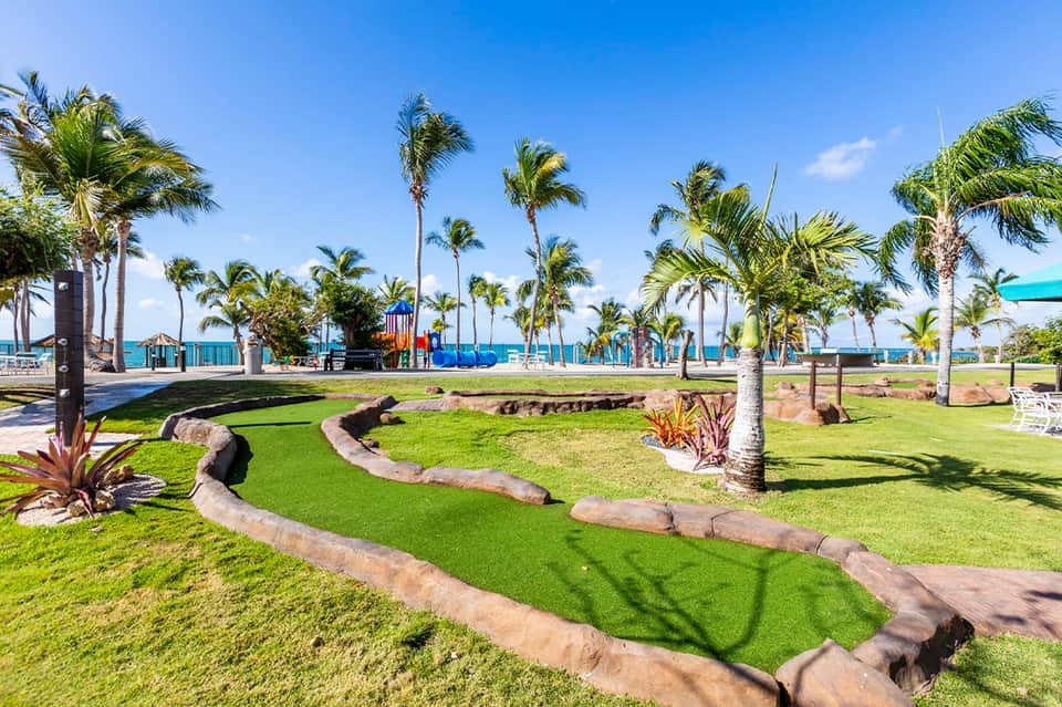 Beachfront park with palm trees, manicured lawn, decorative rock pathways, and ocean view in background