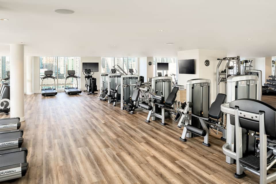 Spacious modern fitness center with cardio machines, strength equipment, and city skyline views through windows