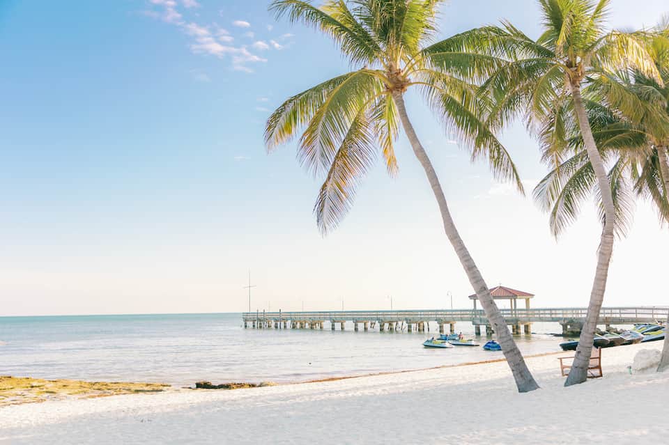Tropical beach scene with palm trees, white sand, calm turquoise water, and wooden pier