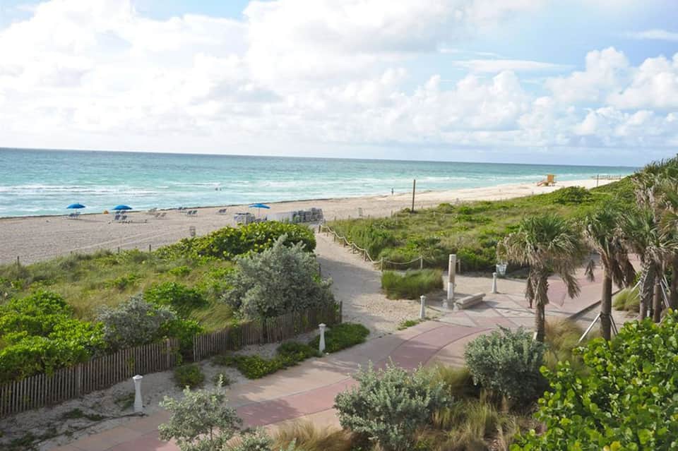 Beachfront pathway with palm trees, beach access, and ocean view on a sunny day