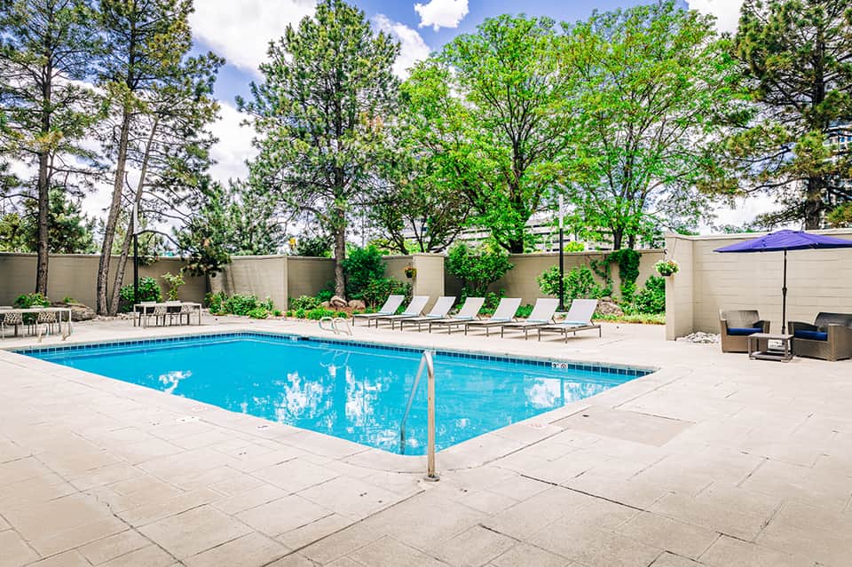 Resort swimming pool with bright blue water, lounge chairs, and mature trees against a beige privacy wall