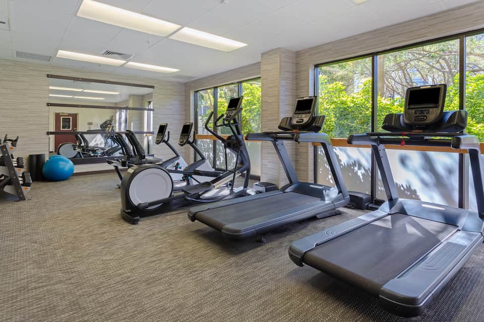 Modern fitness center with treadmills, exercise bikes, and large windows overlooking trees